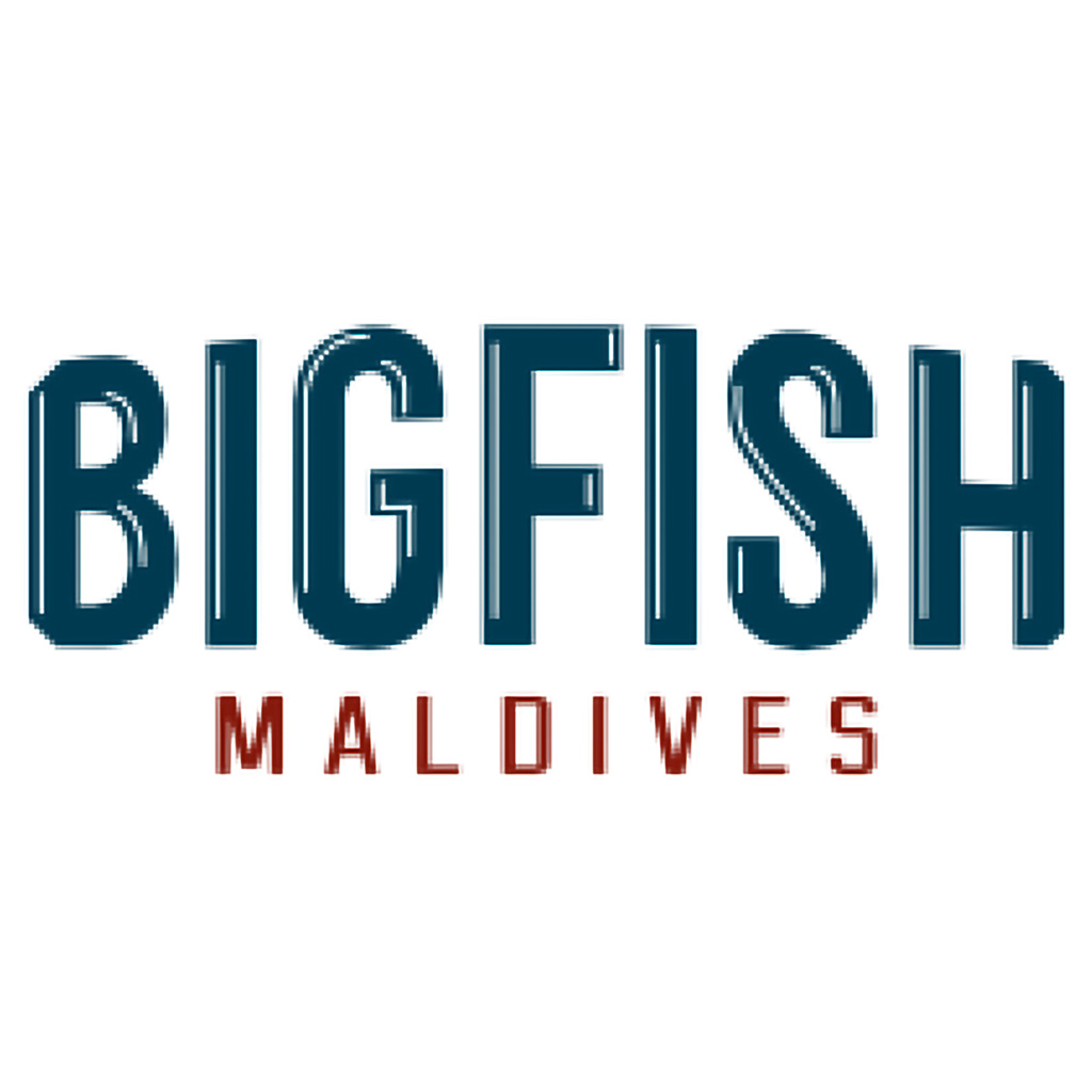 Big Fish Maldives